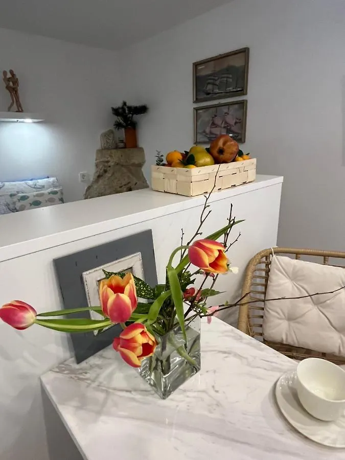 Charming Studio Apartment At House Rustica With Terrace And Nearby Parking Punat